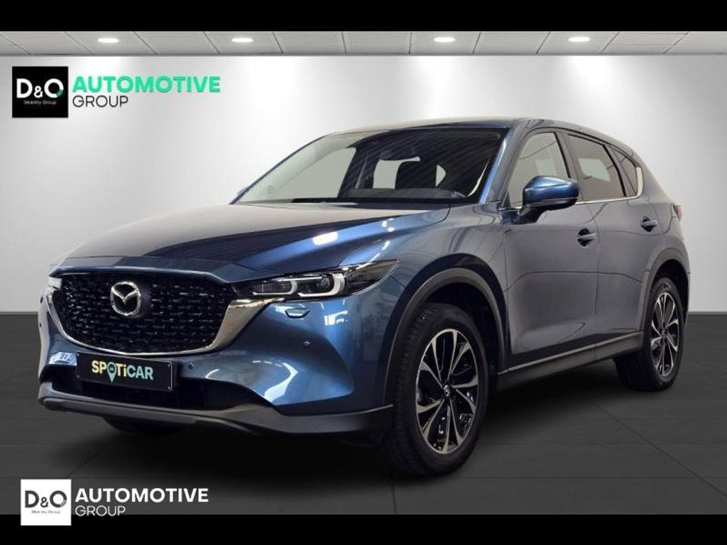 54404042