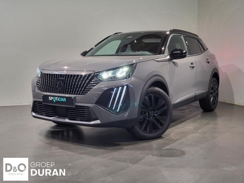 55354037